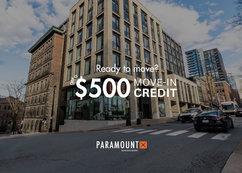 Suite 411 – 1 Bedroom 1 Bath